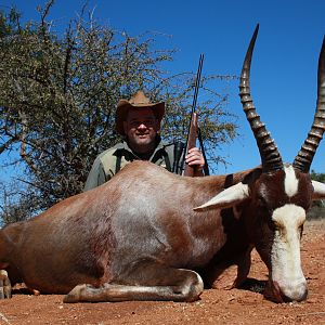 Blesbok