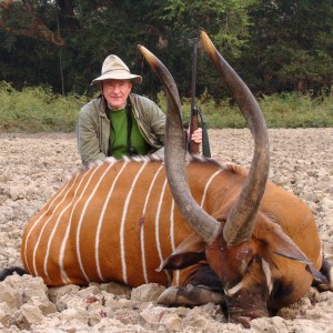 Bongo hunted in CAR with Central African Wildlife Adventures