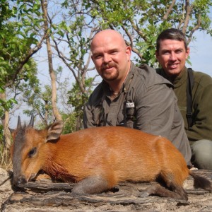 Red Flanked Duiker hunted in CAR with Central African Wildlife Adventures