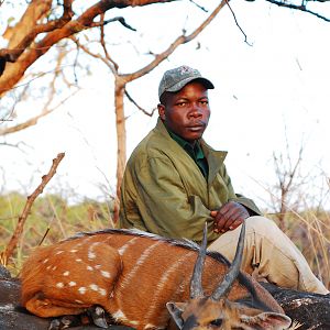 Bushbuck hunted in CAR with CAWA