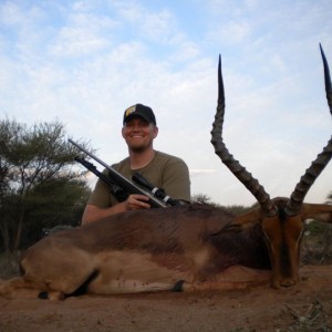 Impala Limpopo South Africa