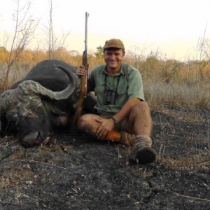 Buffalo hunted in the Niassa Reserve
