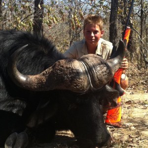 My son Buffalo hunted in Zimbabwe