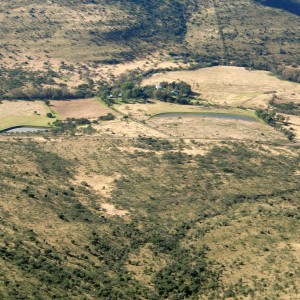 Area we were hunting for Bushbuck