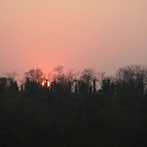 Mvubu Sunrise