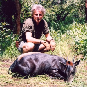 Hunting Yellow Back Duiker in CAR with Rudy Lubin Safaris