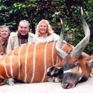 Hunting Bongo in CAR with Rudy Lubin Safaris