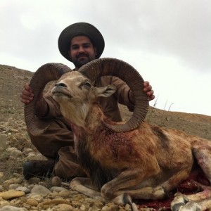 Sheep hunt in Pakistan