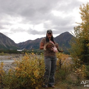 My wife with her Dall Sheep hunted in Alaska