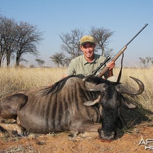 Blue Wildebeest hunted in Namibia