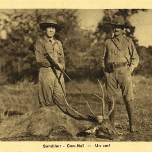 Hunting Deer in Vietnam ca 1920