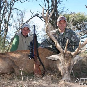 Red Deer - Argentina