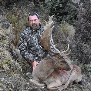 Trophy Fallow Buck