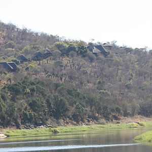 Mvubu from the river