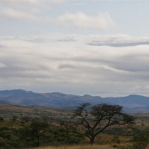 Hluhluwe Landscape