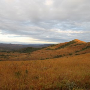 Hluhluwe Landscape