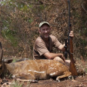 Harnessed Bushbuck hunted in CAR