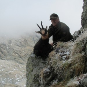 Hunting Chamois in Romania