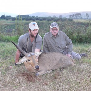 Monster Common Reedbuck Kwazulu-Natal Region