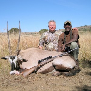 Gemsbok