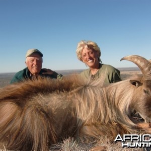 Tahr