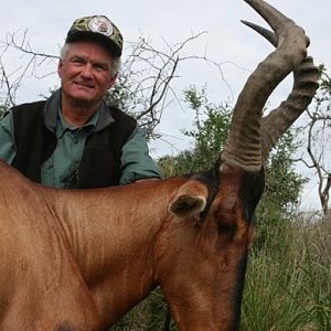 Hartebeest