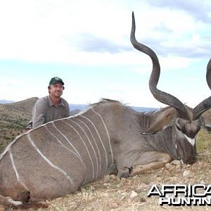 Namibia Greater Kudu