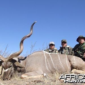 Greater Kudu Namibia