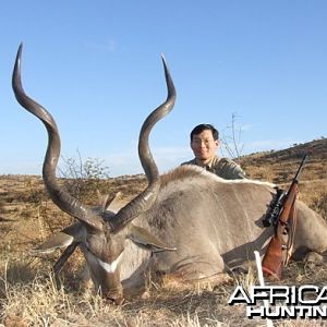 Greater Kudu Namibia