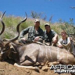 Greater Kudu