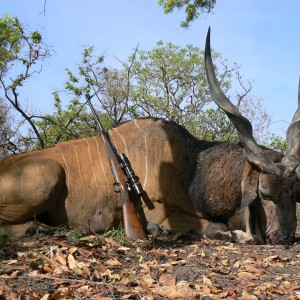 Hunting Giant Eland in CAR