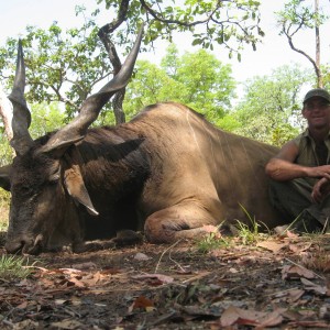 Hunting Giant Eland in CAR