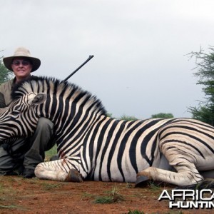 Burchell's Zebra Hunt Namibia