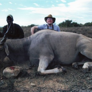 Russ Field Safaris - Cape Eland (30 inches long)