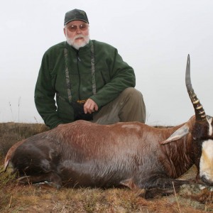 Blesbok in the pouring rain.