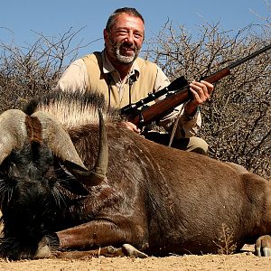 Black Wildebeest