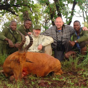 Lelwel Hartebeest after rain