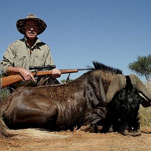 Black Wildebeest