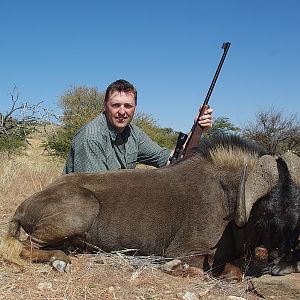 Black Wildebeest