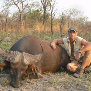 Buffalo in CAR