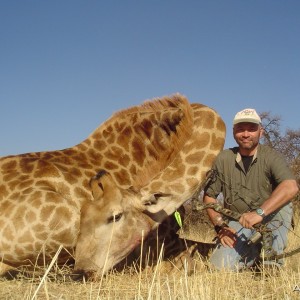 Giraffe with bow, took with Warthog Safaris