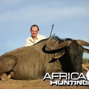 Blue Wildebeest Hunting in Namibia