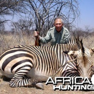 Hartmann's Zebra (Mountain Zebra) Namibia