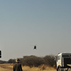 Game Capture Namibia