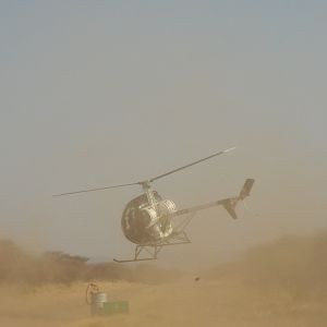 Game Capture Namibia