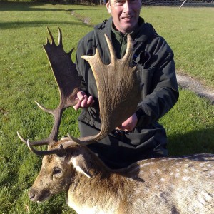 Hunting Fallow Bucks in the UK