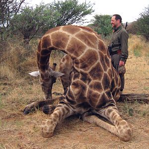 Setting up a Giraffe for trophy pictures