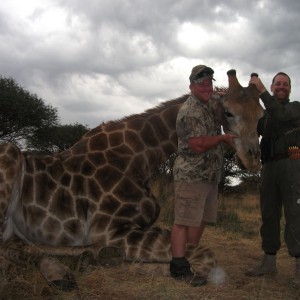 Giraffe Namibia