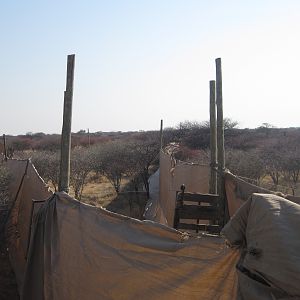 Game Capture Namibia