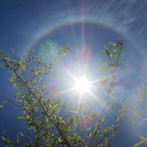 Sun Halo in Namibia